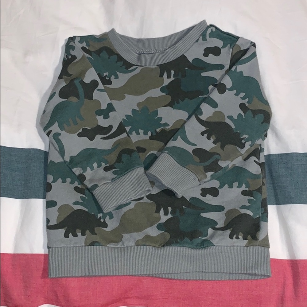 Dinosaur camo crew neck sweatshirt